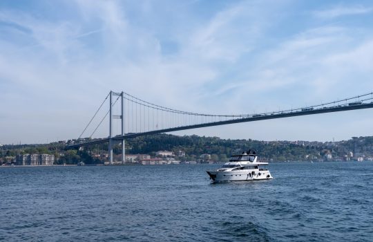 landscape of the one side of the bosphorus and a boat passing by
